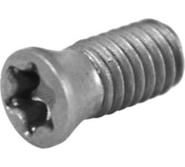 Винт Русский Инструмент М5 TORX T20 M5х10,5 SPMT120408 для механического крепления пластин ri.486.137