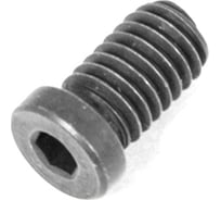 Винт Русский Инструмент М4 TORX T15 CSC4090 для механического крепления пластин ri.486.97