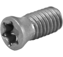 Винт Русский Инструмент М4 TORX T15 M4х9 SPMT09T308 для механического крепления пластин ri.486.107