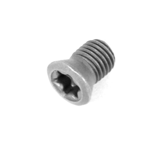 Винт Русский Инструмент М4 TORX T15 CSX4070 для механического крепления пластин ri.486.102