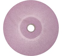 Шлифовальный круг AURA TOOLS 250x40x32 91A (электрокорунд хромтитанистый) для NM-250 602504091