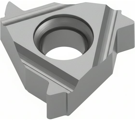 Пластина резьбовая Тирос 16ERAG60M-TSP25 Н2-00000224