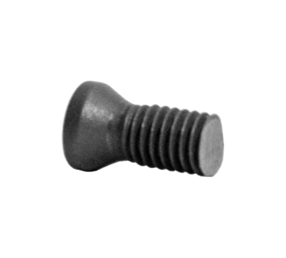 Винт Русский Инструмент М3 TORX T08 M3x8 SWB220 для механического крепления пластин ri.486.90