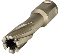 Сверло корончатое твердосплавное Weldon 19 (17х35х75 мм) Tideway AC121706
