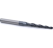 Фреза спиральная двухзаходная конусная сферическая (1х60х100 мм; угол 2A°-6.6; R 0.5 мм; хв-к 8) NL2QX8.60.1 DJTOL 1263