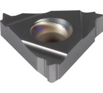 Пластина 16ER0.5ISO IPP250, 10 шт ИНСТУЛС 00001613310