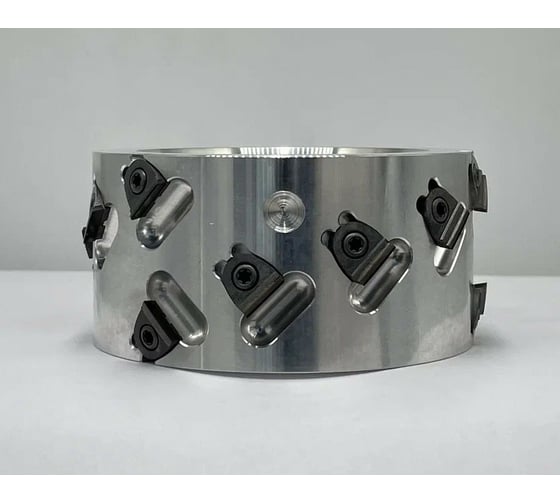 Фреза DIA со сменными ножами 100x30x51 мм, z2+2, LH, H4 для SCM SURREY TL19019