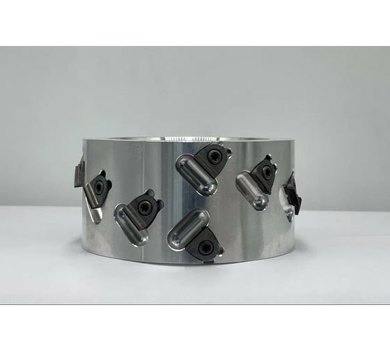 Фреза DIA со сменными ножами 100x30x51 мм, z2+2, RH, H4 для SCM SURREY TL19020