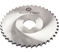 Фреза отрезная со ступицей (100x4x22 мм; тип 2; Z-40; Р6М5 6542; 2254-1254) ИНСТУЛС 00001614795