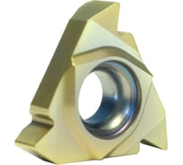 Пластина 16ERG60 LP1520 10 шт Prosaers 31834