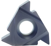 Пластина 16ERAG55 LP0640 10 шт Prosaers 31789