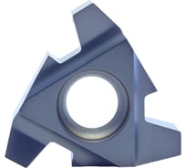 Пластина 22IR6.00TR LP0640 10 шт Prosaers 31809