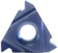 Пластина 16ER2.00ISO LP0640 10 шт Prosaers 31759