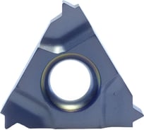 Пластина 16IR2.50ISO LP0520 10 шт Prosaers 31818