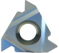 Пластина 16IRAG60 LP0640 10 шт Prosaers 31784