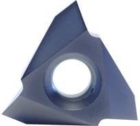 Пластина 16VERAG60 LP0640 10 шт Prosaers 31785