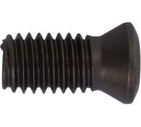 Винт к корпусному сверлу M2.5x6 мм ACCKee sc00005