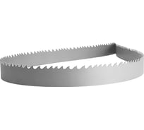 Пила ленточная Carbon (1575 мм; 16 мм; шаг 3TPI) REALREZ 4687202526680