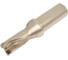 Сверло корпусное BTDR 2Dx21 мм VORGEN 4687202509874 2