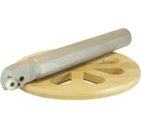 Державка S25T-PWLNR08 PROSAERS 31953