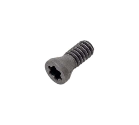 Винт TORX VRT01 M2x5 VORGEN 4687202511808