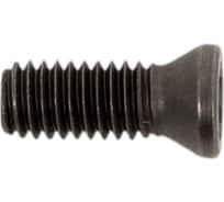 Винт TORX VRT10 M4.5x12 VORGEN 4687202511891