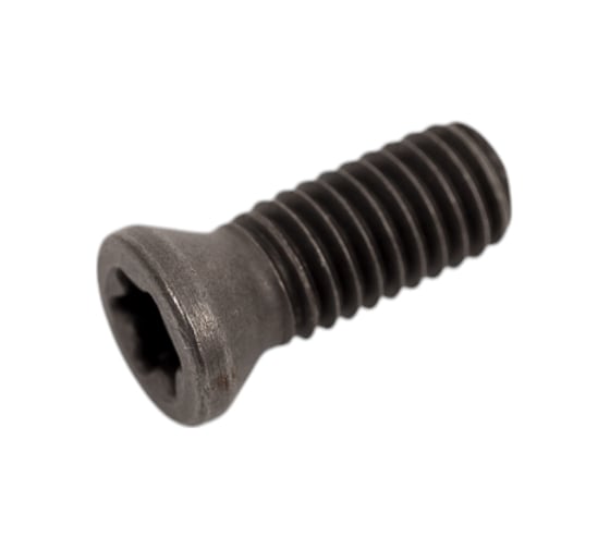 Винт TORX VRT10 M4.5x12 VORGEN 4687202511891