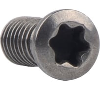 Винт TORX VRT09 M4x11 VORGEN 4687202511884