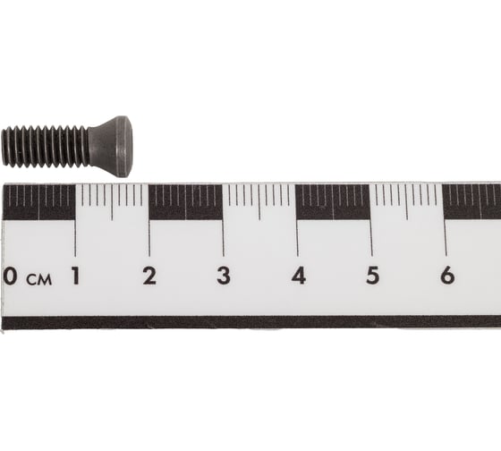 Винт TORX VRT12 M6x16 VORGEN 4687202511921