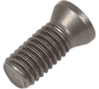 Винт TORX VRT13 M5x12 VORGEN 4687202511914