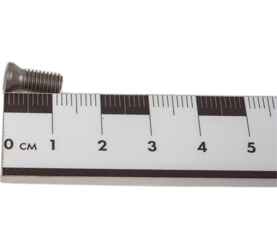 Винт TORX VRT13 M5x12 VORGEN 4687202511914