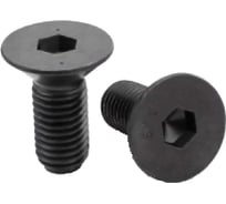Винт опорной пластины VAV02 M5 VORGEN 4687202511686