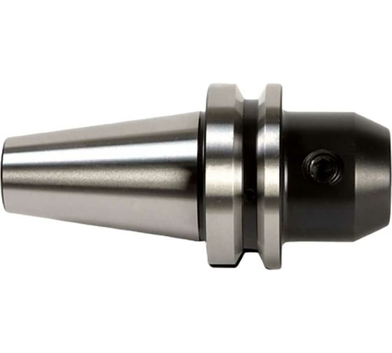 Оправка ISO30 MAS403BT WELDON H50 D10 AD PAGNONI 330WLD10 1