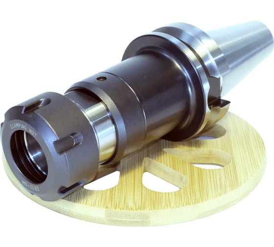 Оправка BT50-TER25-120 PROSAERS 32095
