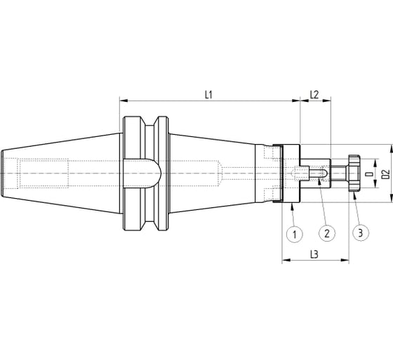 Оправка ISO50 MAS403BT P/F UNIVERSAL H100 D22 PAGNONI 350PU222