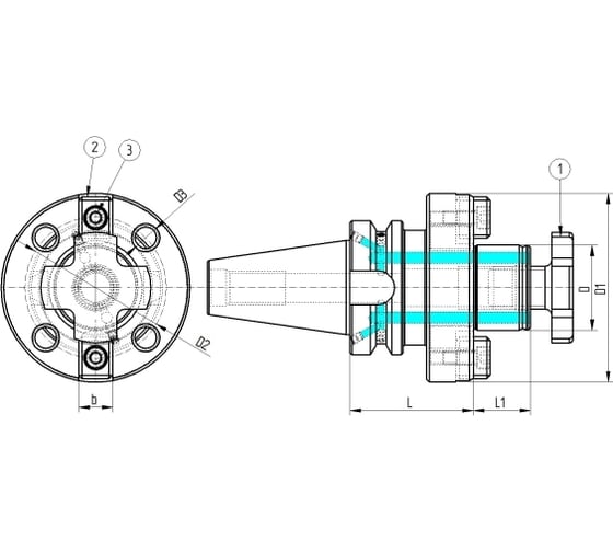 Оправка ISO50 MAS403BT P/F TRASCINAMENO FISSO H70 D40FM PAGNONI 350PI140