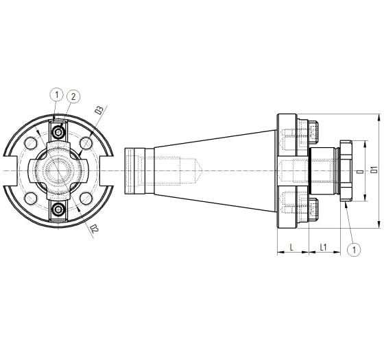 Оправка ISO50 DIN2080 P/F TRASCINAMENO FISSO H30 D60 PAGNONI 550PI160