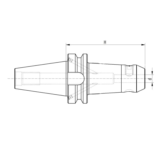 Оправка ISO50 MAS403BT WELDON H100 D10 PAGNONI 350WE210