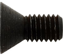Винт опорной пластины VAV04 M5 VORGEN 4687202511709