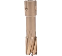 Сверло корончатое HARD-LINE (20x55 мм; Weldon 19/Nitto) Karnasch 20.1316N-20