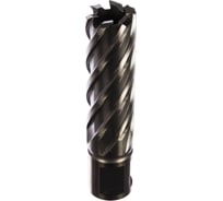 Фреза HSS (20x55 мм; хвостовик 19 мм) для сверлильных станков на магните Metabo 626529000