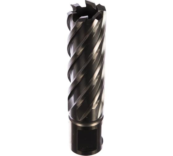 Фреза HSS (20x55 мм; хвостовик 19 мм) для сверлильных станков на магните Metabo 626529000 1