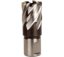 Фреза HSS (31x30 мм; хвостовик 19 мм) для сверлильных станков на магните Metabo 626519000