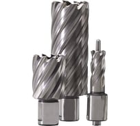Набор фрез HSS (3 шт; хвостовик 19 мм) для сверлильных станков на магните Metabo 626623000
