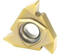 Резьбовая пластина TTM 22NR-N55 упак 10 шт 4603390581843