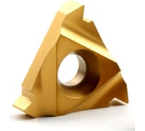 Резьбовая пластина TTM 22ER-5.0ISO упак 10 шт 4603390581775