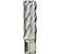 Сверло кольцевое 100х55 мм, HSS, Weldon 32 EUROBOOR HCL.1000 1