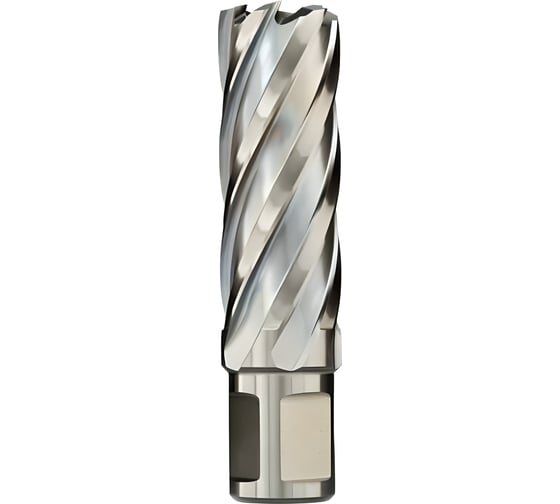 Сверло кольцевое 54х55 мм, HSS, Weldon 19 EUROBOOR HCL.540