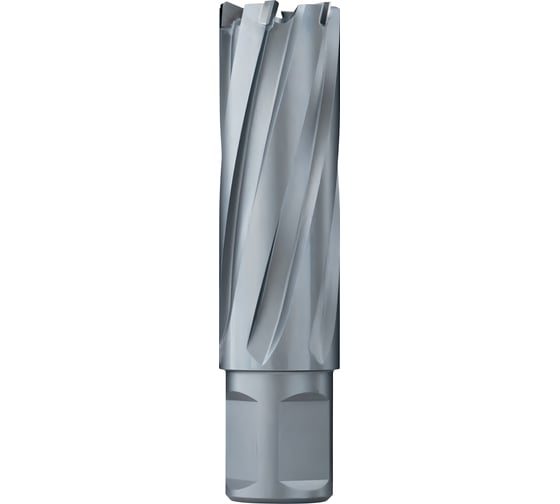 Сверло кольцевое 125х55 мм, TCT, Weldon 32 EUROBOOR HML.1250