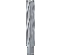 Сверло кольцевое 39х100 мм, TCT, Weldon 19 EUROBOOR HMX.390